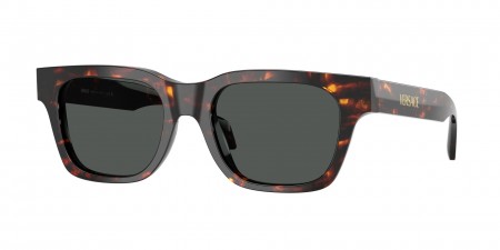 VE4486F Sunglasses