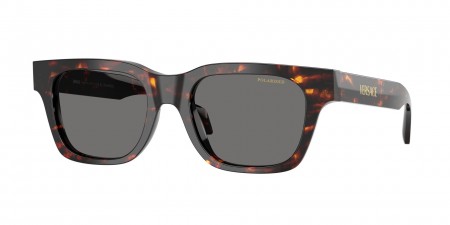 VE4486 Sunglasses
