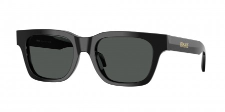 VE4486 Sunglasses