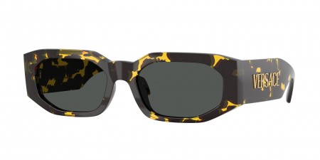 VE4489U Sunglasses
