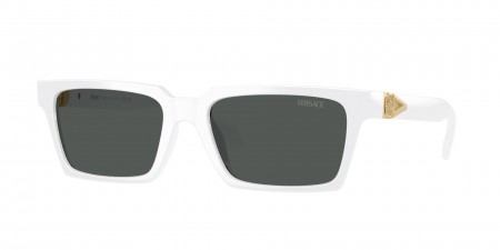 VE4490U Sunglasses