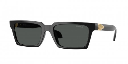 VE4490U Sunglasses