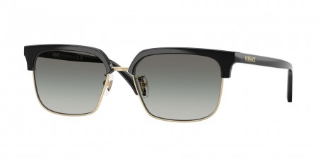 VE4494D Sunglasses