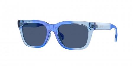 VK4006U Sunglasses