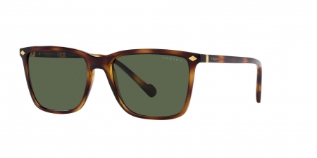 VO5493S Sunglasses