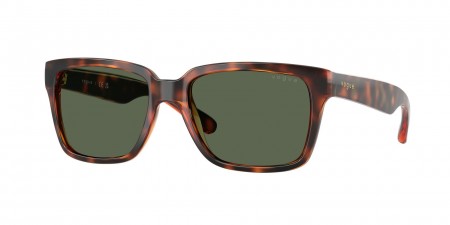 VO5648SI Sunglasses