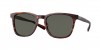 6S2002 Sullivan Sunglasses