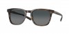 6S2002 Sullivan Sunglasses