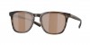 6S2002 Sullivan Sunglasses
