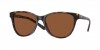 6S2012 Catherine Sunglasses