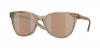 6S2012 Catherine Sunglasses