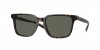 6S2013 Kailano Sunglasses