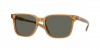 6S2013 Kailano Sunglasses