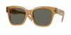 6S2016 Nusa Sunglasses