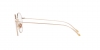 AR5095 Eyeglasses