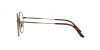 AR5131TD Eyeglasses