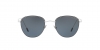 AR6048 Sunglasses