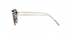 AR6068 Sunglasses