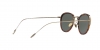 AR6068 Sunglasses