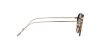AR6068 Sunglasses