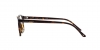AR7003 Eyeglasses