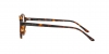 AR7004 Eyeglasses