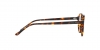 AR7004 Eyeglasses
