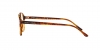 AR7004 Eyeglasses