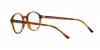 AR7004 Eyeglasses