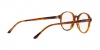 AR7004 Eyeglasses