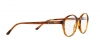 AR7004 Eyeglasses