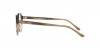 AR7004 Eyeglasses