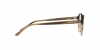 AR7004 Eyeglasses