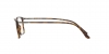 AR7037 Eyeglasses