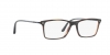 AR7037 Eyeglasses