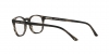 AR7074 Eyeglasses