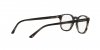 AR7074 Eyeglasses