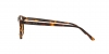 AR7074 Eyeglasses