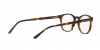 AR7074 Eyeglasses