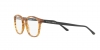 AR7074 Eyeglasses