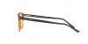 AR7074 Eyeglasses