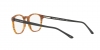AR7074 Eyeglasses