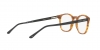 AR7074 Eyeglasses
