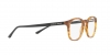 AR7074 Eyeglasses