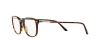 AR7086F Eyeglasses