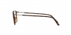 AR7086F Eyeglasses
