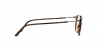 AR7086F Eyeglasses