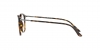 AR7125 Eyeglasses