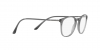 AR7125 Eyeglasses