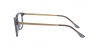 AR7183 Eyeglasses